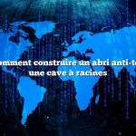 Question : Comment construire un abri anti-tempête dans une cave à racines